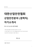 대한산업안전협회 산업안전분야 경력직 자기소개서-1