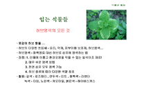 [웰빙]식물과 웰빙 소비트렌드-7