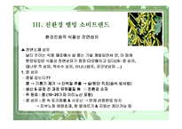 [웰빙]식물과 웰빙 소비트렌드-19