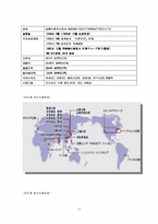 [국제경영학] 농심 `신라면`의 중국 FDI전략-13