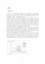 [국제경영](주)농심 신라면의 중국진출전략-5