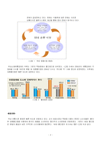 [마케팅, 경영전략] 월마트의 한국시장 재진입-3