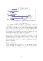 [학사논문][경영학] 국내 저가 화장품 시장에서의 미샤의 성공 요인 분석-16