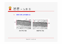 [화장품학] 노화와 레티놀(비타민A)-11