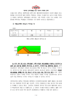 [마케팅] 대학생 고객 창출을 위한TGIF의 마케팅 전략-13