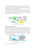 [정보통신] 와이브로-5