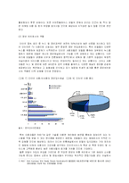 [e비즈니스]인터넷 포털시장의 현황과 전망(A+리포트)-4