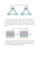 [글로벌 네트워크 경영전략] 글로벌 네트워크 경영전략-18