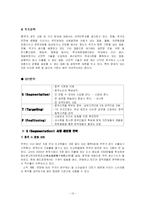 [국제마케팅] 쿠쿠홈시스 해외진출전략-13