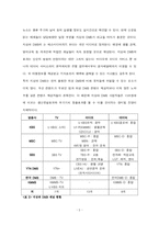 [매스컴] DMB의 보급에 따른 방송,통신 융합 현상-5