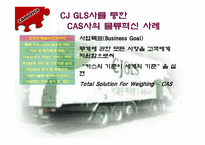 [물류] CAS사의 CJ-GLS를 통한 물류혁신사례 조사 및 분석-18