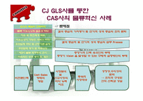 [물류] CAS사의 CJ-GLS를 통한 물류혁신사례 조사 및 분석-20