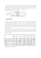 [국제마케팅] SM엔터테인먼트의 아시아시장 진출 분석 -중국 및 일본 시장을 중심으로-11