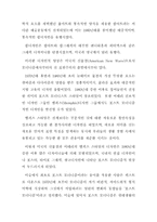 [현대디자인론]광고속의 포스트모더니즘 현상의 유형 및 사례연구-12