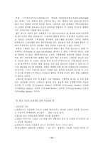 [소비자심리] `소비문화` 형성과 문제점 앞으로 올바른 소비문화 정착방안-12