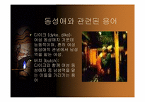 [성정체성]동성애에 대한 정의와 사람들의 인식에 관한 조사-5