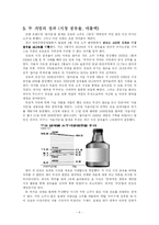 [마케팅전략] 진로와 두산의 소주 경쟁 상표간의 마케팅 전략비교-5