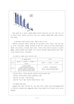 [마케팅] 미샤 촉진전략-17