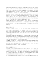 [대체에너지] 세계 에너지문제와 대책-13