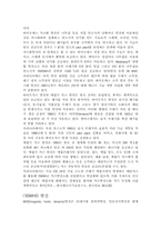 [대체에너지] 세계 에너지문제와 대책-17