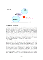 [국제경영] 로만손 해외진출사례 -중동지역을 중심으로-14