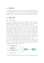 [국제경영] 미스터 피자와 피자헛 비교분석-2