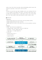 [국제경영] 미스터 피자와 피자헛 비교분석-11