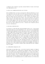 [국제경영] 한국기업 국제경영전략-10