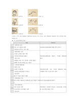 [초등 수학 기초] 피아제의 인지발달 이론과 수학교육-14