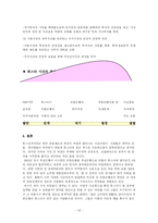 외환은행의 론스타 매각의 문제점과 핵심쟁점분석(A+)-13