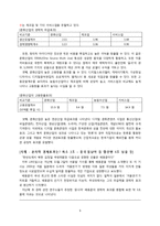 문화마케팅 사례와 전략-6