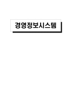 [정보시스템]경영정보시스템 - 각 시스템의 구현사례-1