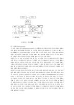 [교육심리] 학습자의발달-8