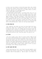 [정보화와 정보화정책] 정보화사회의 의의, 발전과 정보화사회의 문제점 및 외국의 정보화 사례를 통해 본 향후 정보화정책 방향 분석-12