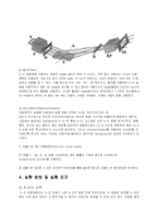 [신소재공학실험계획서] XRD를 이용한 BaTiO3분말의 구조분석-10