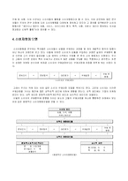 [소비자행동론]소비자행동과 구매의사결정과정의 이해(A+리포트)-4