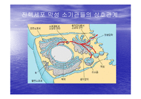 [미생물학] 진핵 세포와 원핵 세포의 차이-14