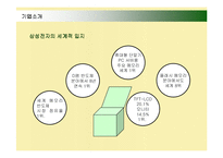 [경영전략] 삼성전자 애니콜의 러시아진출 성공사례-3