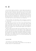 [국제광고] 다국적 광고의 국제적 유통-3