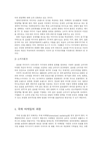 [국제광고] 다국적 광고의 국제적 유통-10