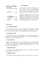 [서비스마케팅] 초고속 인터넷 서비스업계 비교 분석-4