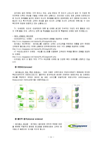 [서비스마케팅] 초고속 인터넷 서비스업계 비교 분석-12