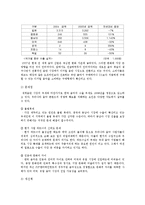 [국제커뮤니케이션] 한국 문화 콘텐츠의 미래-6