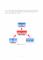 [경영정보] 산업정보학과의 특성화방안에 대한 소고-11