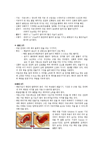 [간호학] 산부인과 정상분만 간호과정 케이스-6