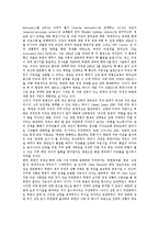 [북미관계, 미국대북정책] 북미관계의 전개, 현황과 북미관계의 갈등에 따른 미국 대북정책의 변화와 미국 대북정책의 쟁점 및 향후 미국 대북정책의 방향, 북미관계의 전망 분석-12