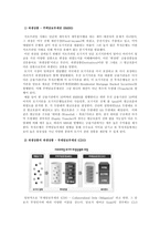 [미국금융위기]미국발 금융위기의 전망과 대책-8