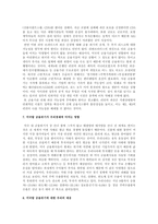 [미국금융위기]미국발 금융위기의 전망과 대책-13