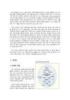 [생산운영관리, scm] 삼성전자 SCM 도입 사례 연구-2