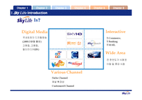 [서비스마케팅] [서비스마케팅]매출증대를 위한 스카이라이프 프로모션 전략(A+리포트)-6